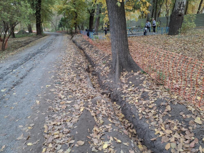 Общественники потребовали прекратить строительные работы в роще Баума в Алматы  