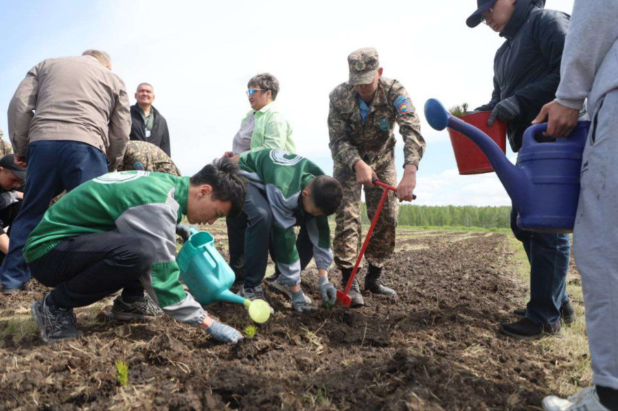 Район бьет рекорды