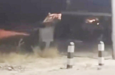 Трудно было разглядеть