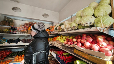 Транзит сельхозпродукции из Казахстана через Россию открыт – минсельхоз