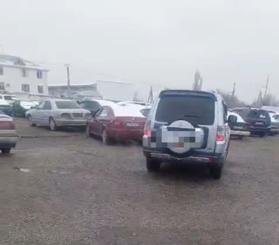 Без тормозов