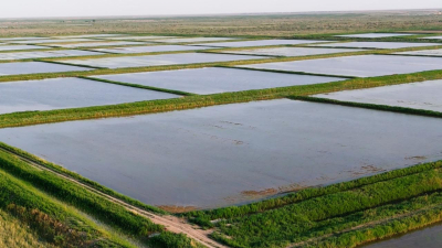 Потери воды на ирригационных сетях снизили в 4 областях страны