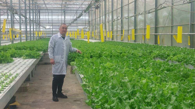 В теплице правит бал… агрофотоника