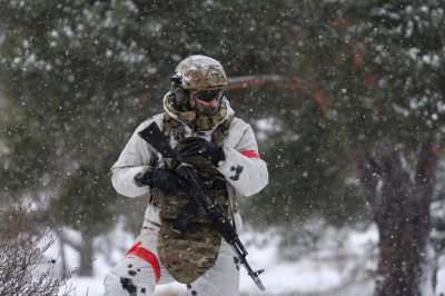 Дандыкин: Норвегия отвлекает внимание заявлениями о войне с Россией