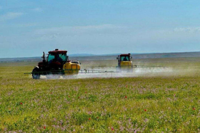 1,8 млн га сельхозугодий обработано в РК против саранчовых