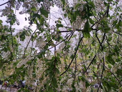 Дожди и жара: какая погода ждет приморцев на следующей неделе