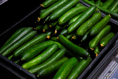 Березнюк объяснил удорожание огурцов в РФ повышенным спросом и низким сезоном