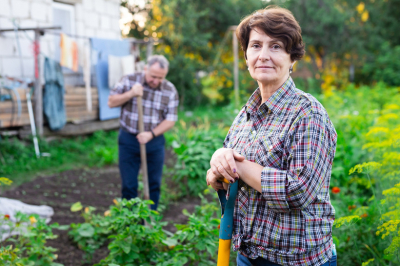Штрафы для дачников в 2026 году: полный список и как не попасть на деньги