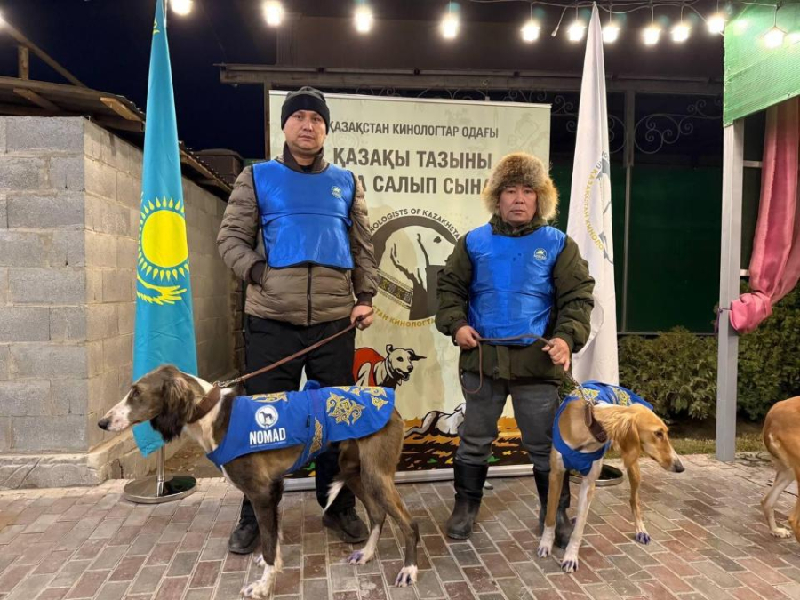 Эксперты выбрали лучших тазы на Алматинском этапе испытаний