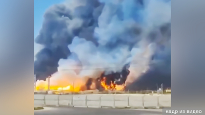 Глава попечительского совета &laquo;Балтики&raquo; обвинил фанатов ЦСКА в провокации Талалаева