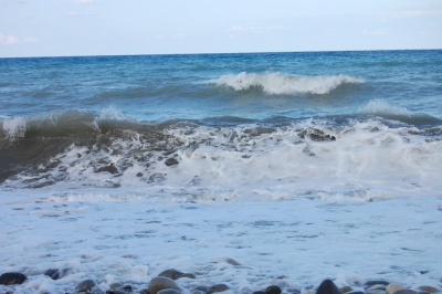 Page Six сообщил о гибели звезды шоу &laquo;Смертельный улов&raquo; Медоуза